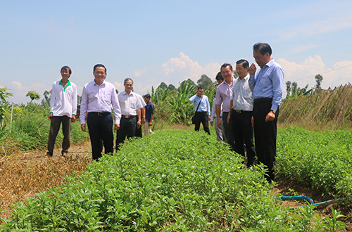 Description: C:\Users\Administrator\Documents\tải xuống (1).png